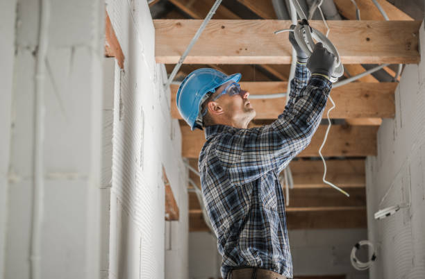 Best Ceiling Fan Installation Electrician  in Lusk, WY